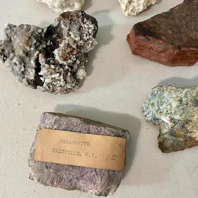 Mixed lot of rocks, fossilized shells & minerals + rock collecting book