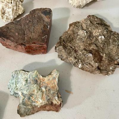 Mixed lot of rocks, fossilized shells & minerals + rock collecting book