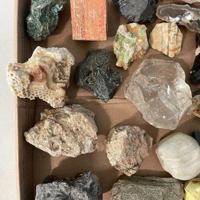 Mixed lot of rocks, minerals, fossilized shells & crystals + rock collecting book