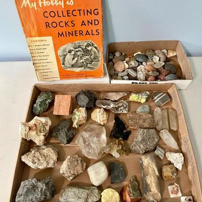 Mixed lot of rocks, minerals, fossilized shells & crystals + rock collecting book