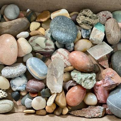 Mixed lot of rocks, minerals, fossilized shells & crystals + rock collecting book