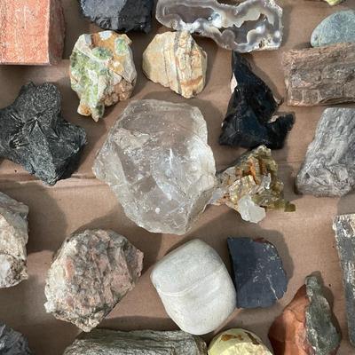 Mixed lot of rocks, minerals, fossilized shells & crystals + rock collecting book