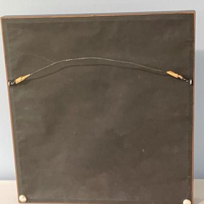Framed slab of 3 ancient fish fossils