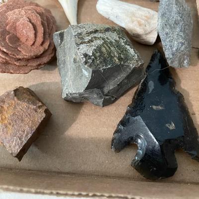 Mixed lot of seashells, driftwood, shell fossils, rocks & minerals