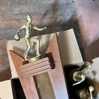 Lot 713 Trophys