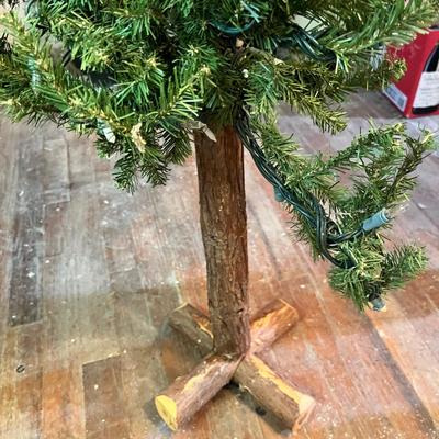 Lot 727 Pencil Tree