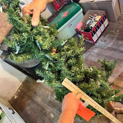 Lot 727 Pencil Tree