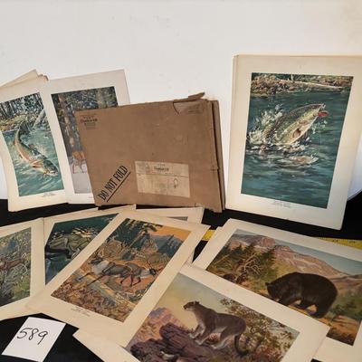 Vintage Outdoor Life Picture Set