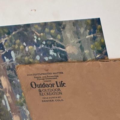 Vintage Outdoor Life Picture Set