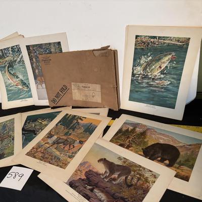 Vintage Outdoor Life Picture Set