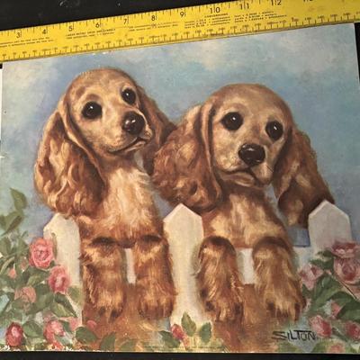 Vintage Puppy Picture