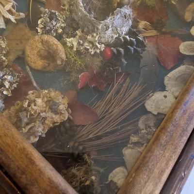 Two Woodland Style Shadow Boxes (LR-JS)