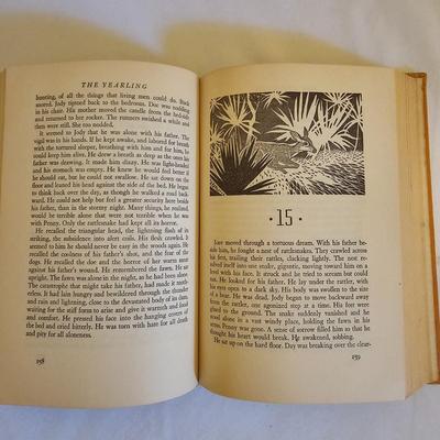Daphne Du Maurier, Peter Rabbit & More Classic Literature (LR-JS)