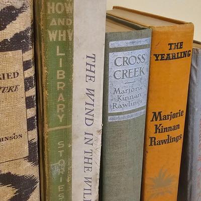 Daphne Du Maurier, Peter Rabbit & More Classic Literature (LR-JS)