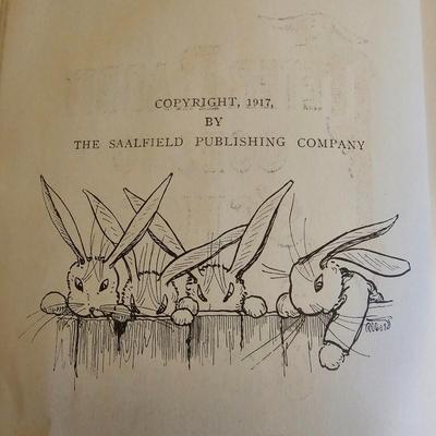 Daphne Du Maurier, Peter Rabbit & More Classic Literature (LR-JS)