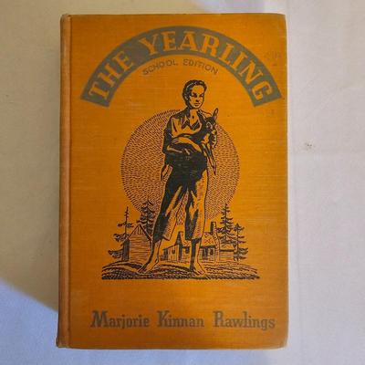 Daphne Du Maurier, Peter Rabbit & More Classic Literature (LR-JS)