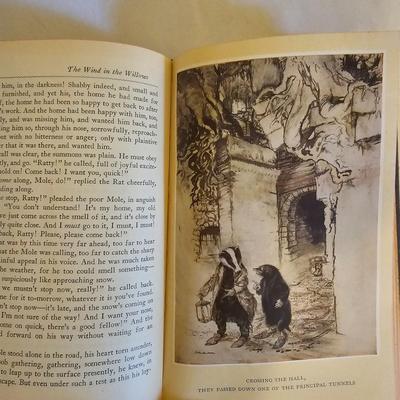 Daphne Du Maurier, Peter Rabbit & More Classic Literature (LR-JS)