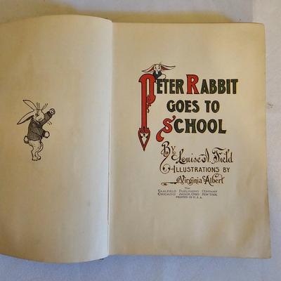 Daphne Du Maurier, Peter Rabbit & More Classic Literature (LR-JS)