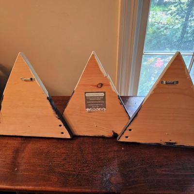 Assorted Mountain Signs (LR-JS)