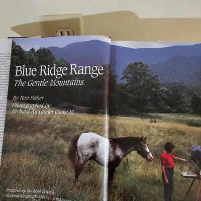 Blue Ridge Signage & Art (LR-JS)