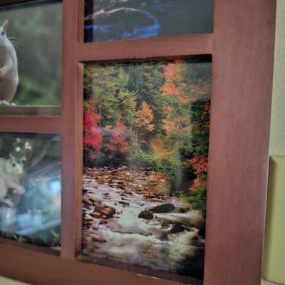 White Squirrels & Waterfalls Photographs (LR-JS)