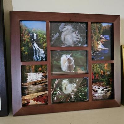 White Squirrels & Waterfalls Photographs (LR-JS)
