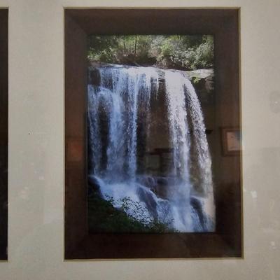 White Squirrels & Waterfalls Photographs (LR-JS)