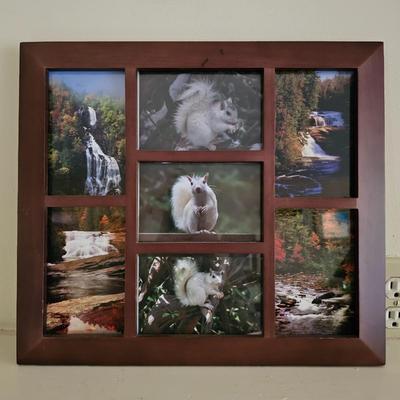 White Squirrels & Waterfalls Photographs (LR-JS)