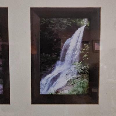 White Squirrels & Waterfalls Photographs (LR-JS)