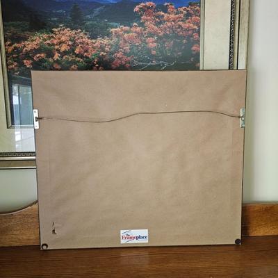 Two Framed Blue Ridge Mountain Photographs (DR-JS)