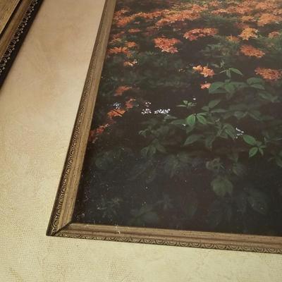Two Framed Blue Ridge Mountain Photographs (DR-JS)