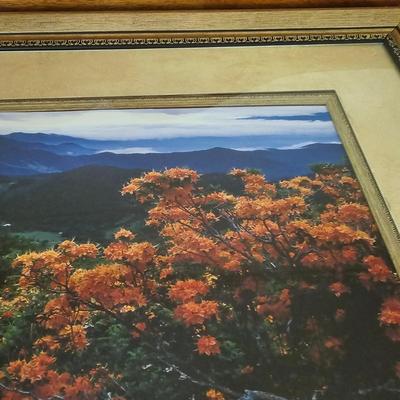 Two Framed Blue Ridge Mountain Photographs (DR-JS)