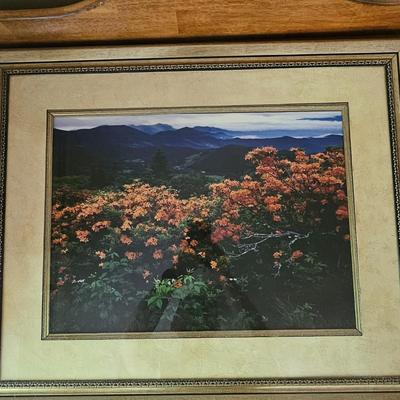 Two Framed Blue Ridge Mountain Photographs (DR-JS)