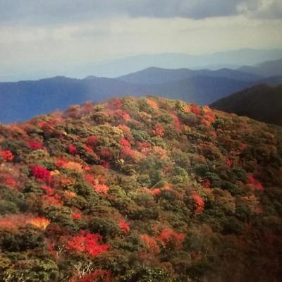 Two Framed Blue Ridge Mountain Photographs (DR-JS)