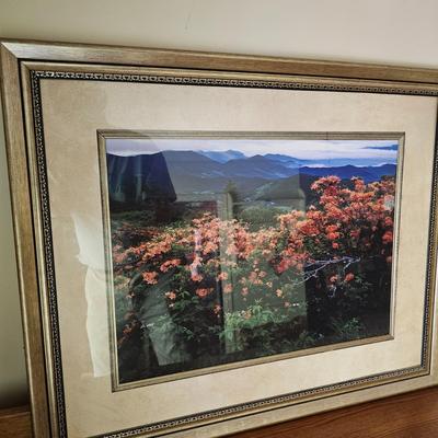 Two Framed Blue Ridge Mountain Photographs (DR-JS)