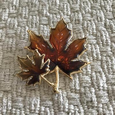 Napier Fall Brooch