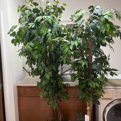 Sale Photo Thumbnail #242: Two fake trees

Dryer not included