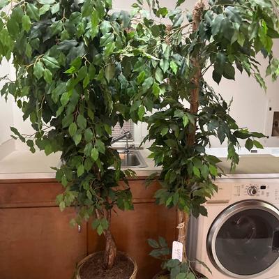 Sale Photo Thumbnail #241: Two fake trees

Dryer not included
