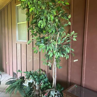 Sale Photo Thumbnail #251: Tree, Sofa Table, Greenery