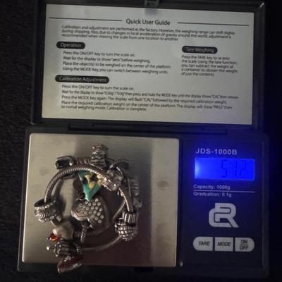 Sterling Silver .925 Pandora Charm Bracelet