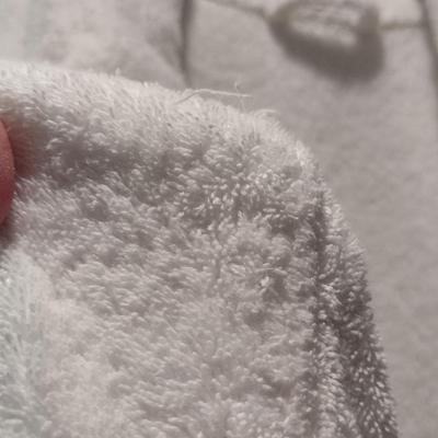 Restoration Hardware Terry Cloth Robe