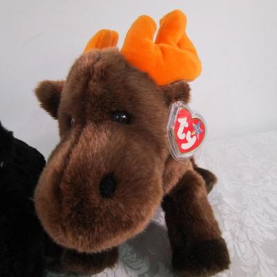 3 Ty stuffed animals, 1 stuffed lizard, 1 raccoon hat with gloved ends