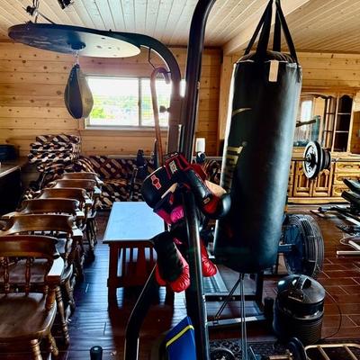 Gym Equipment Lot! Boxing, Rowing, Bike & Weights!