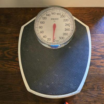 Homedics scale