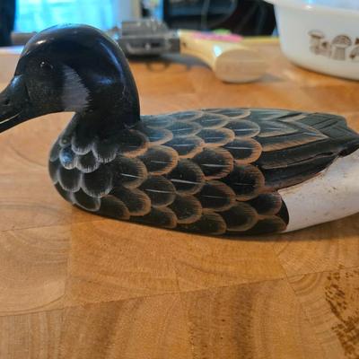 Wood duck