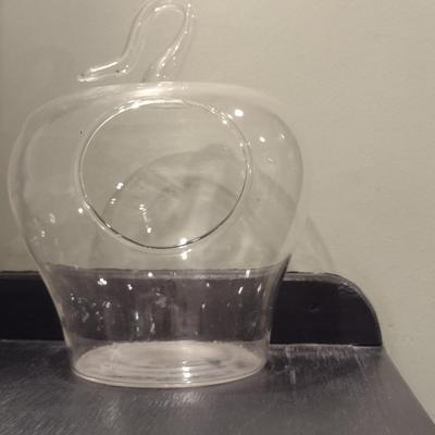 Glass, Apple Shaped Terrarium- Perfect for Air Plant- Approx 7 1/2" Tall