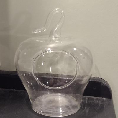 Glass, Apple Shaped Terrarium- Perfect for Air Plant- Approx 7 1/2" Tall