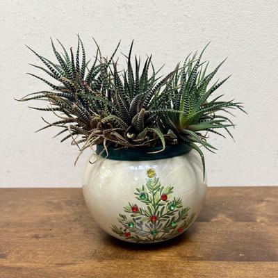 Potted Plant #5 small pottery pot with Christmas Tree design