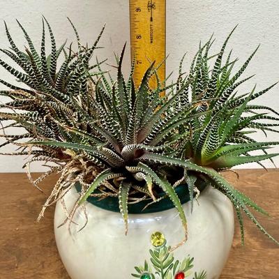 Potted Plant #5 small pottery pot with Christmas Tree design