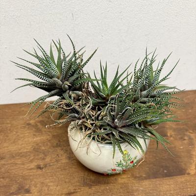 Potted Plant #5 small pottery pot with Christmas Tree design